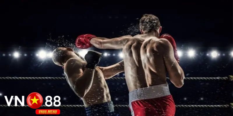 Cac giai dau boxing lon duoc cung cap tai vn88 Các giải đấu boxing lớn được cung cấp tại vn88