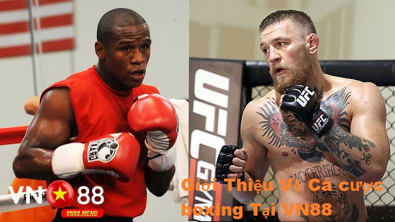 Gioi thieu ve ca cuoc boxing tai vn88 Giới thiệu về cá cược boxing tại vn88