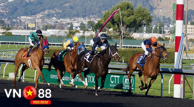 Giới thiệu về cá cược đua ngựa tại vn88